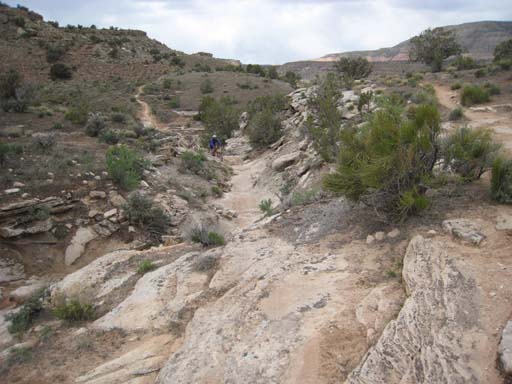 IMG_2263