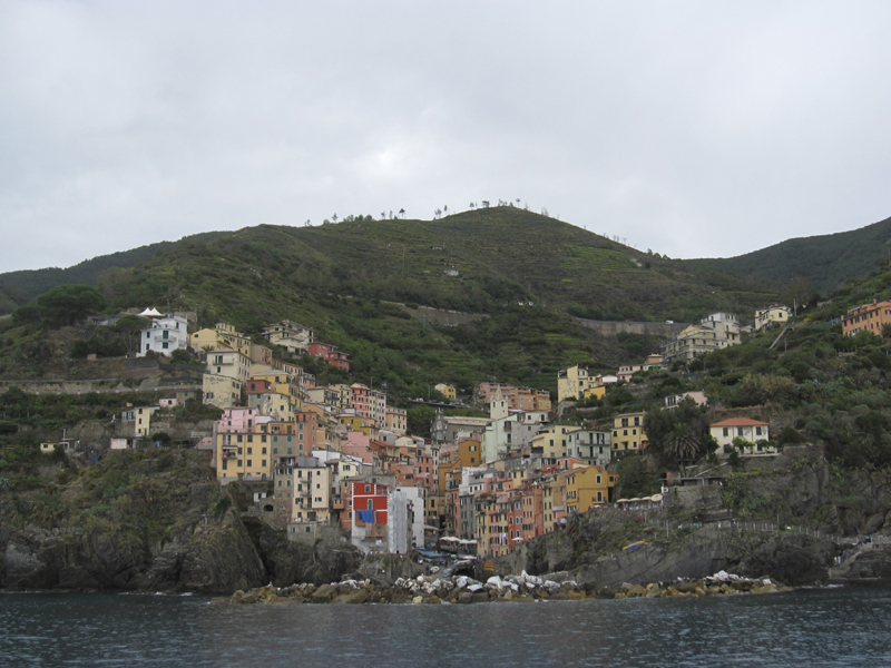 dIMG_5971