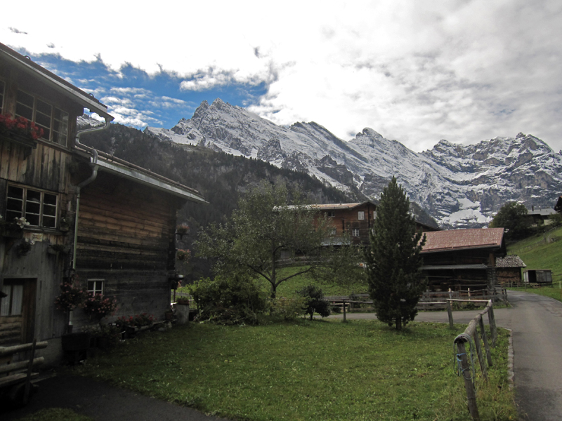 nIMG_6315