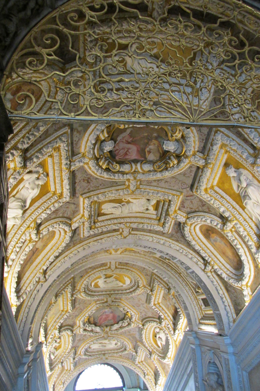 cIMG_0312