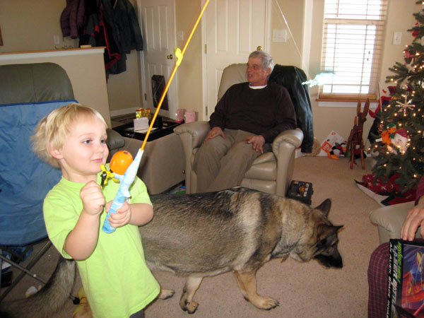 3463